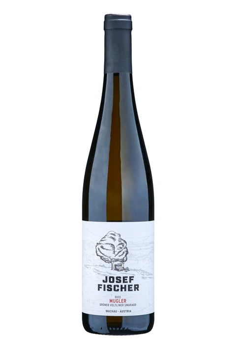 Weingut Fischer: Grüner Veltliner Smaragd Ried Mugler, 2021 - Genussforum GmbH